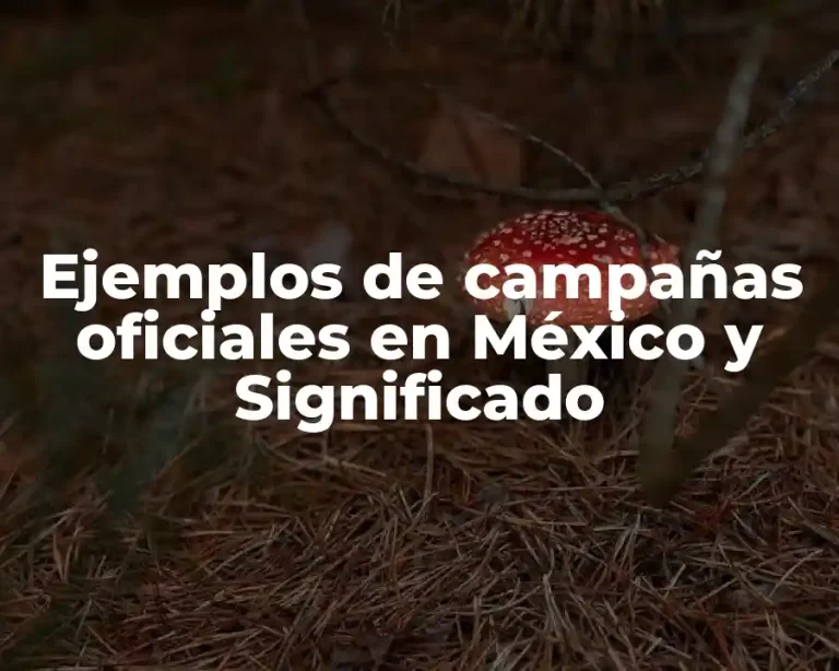 Ejemplos de campañas oficiales en México y Significado