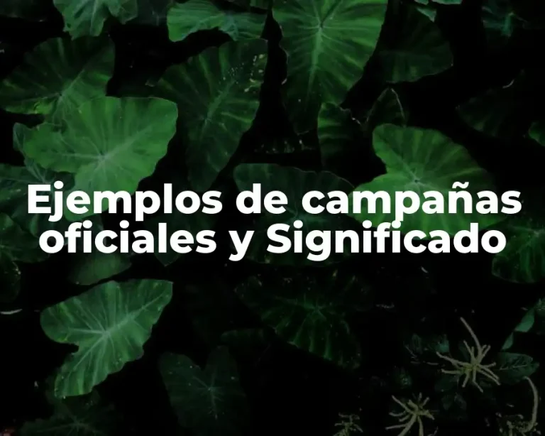 Ejemplos de campañas oficiales y Significado