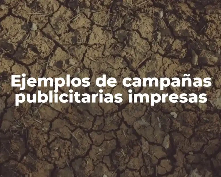 Ejemplos de campañas publicitarias impresas