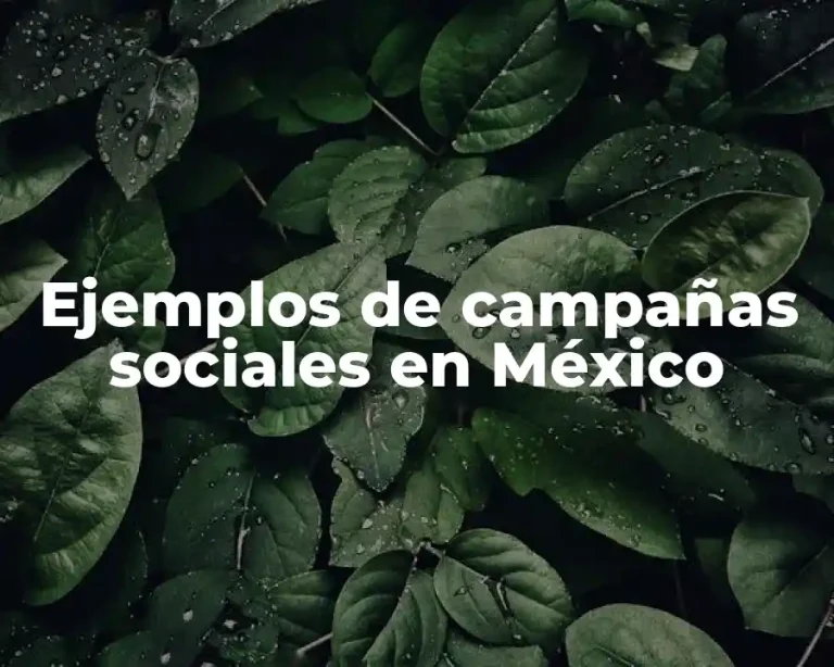 Ejemplos de campañas sociales en México