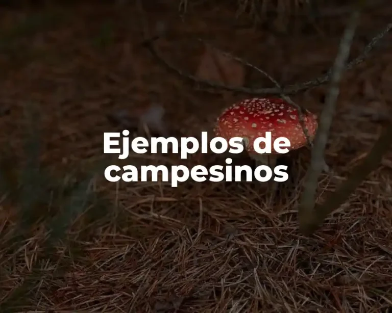 Ejemplos de campesinos