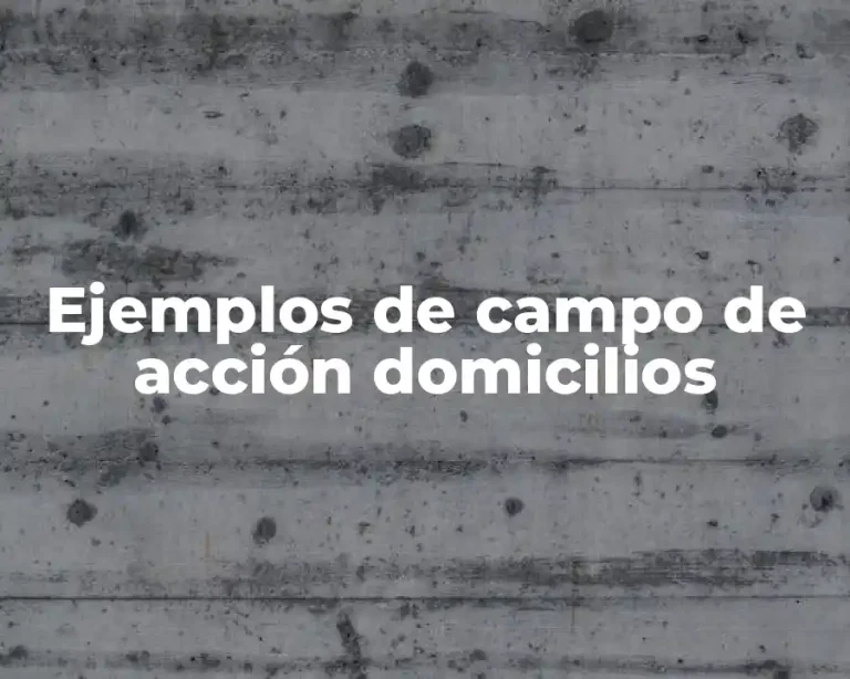 Ejemplos de campo de acción domicilios