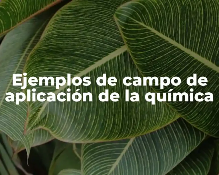 Ejemplos de campo de aplicación de la química