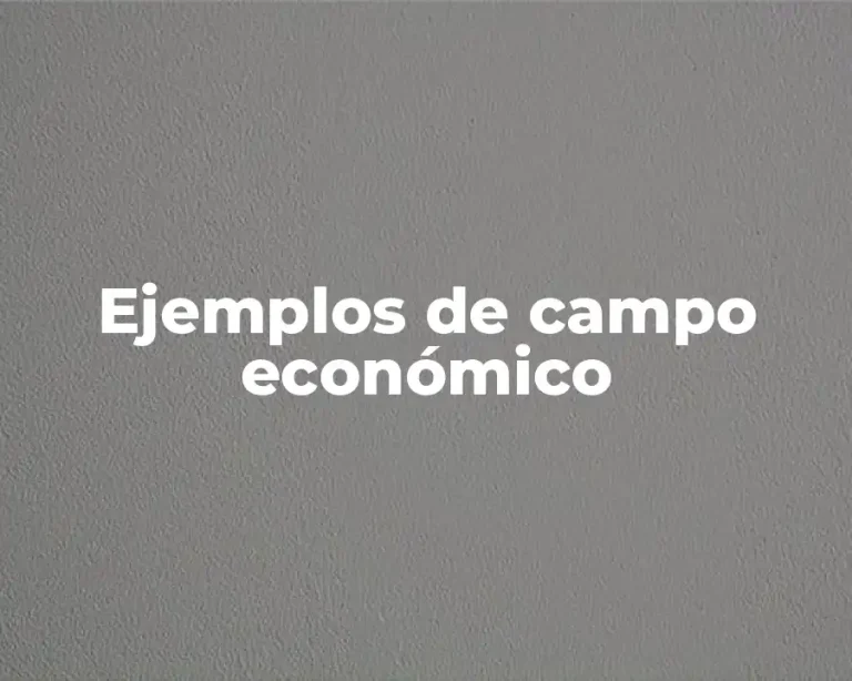 Ejemplos de campo económico