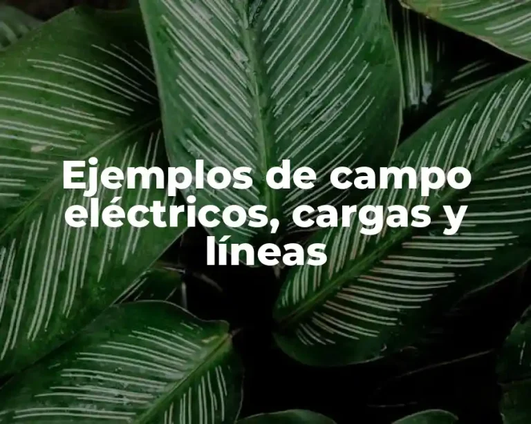 Ejemplos de campo eléctricos, cargas y líneas