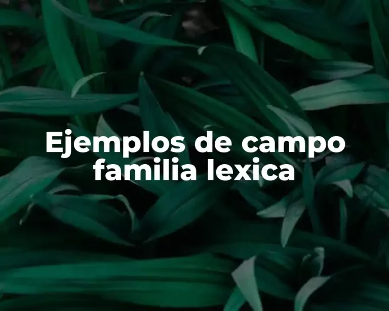Ejemplos de campo familia lexica