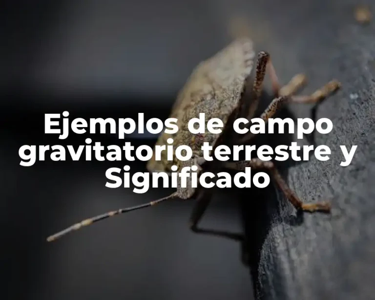 Ejemplos de campo gravitatorio terrestre y Significado