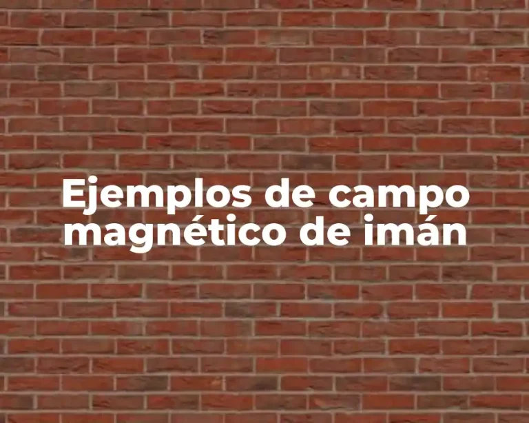 Ejemplos de campo magnético de imán