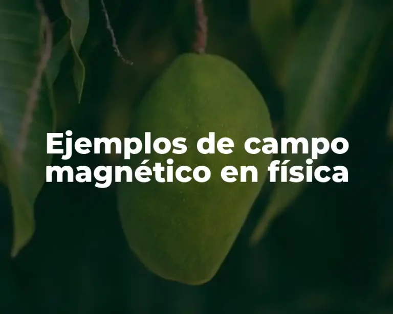 Ejemplos de campo magnético en física