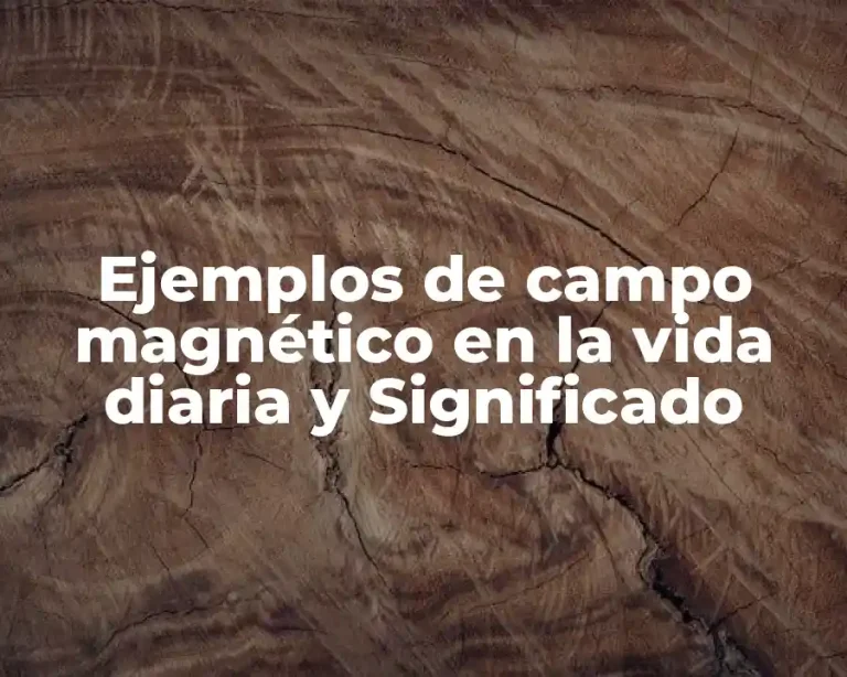 Ejemplos de campo magnético en la vida diaria y Significado