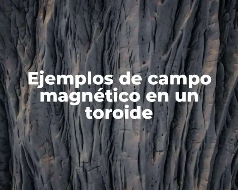 Ejemplos de campo magnético en un toroide