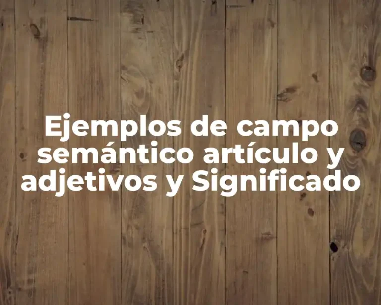 Ejemplos de campo semántico artículo y adjetivos y Significado