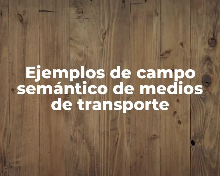 Ejemplos de campo semántico de medios de transporte