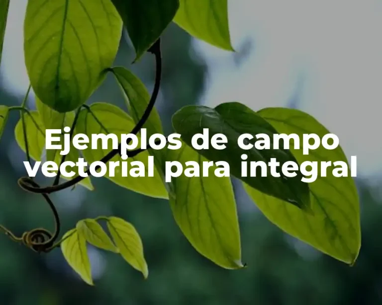 Ejemplos de campo vectorial para integral