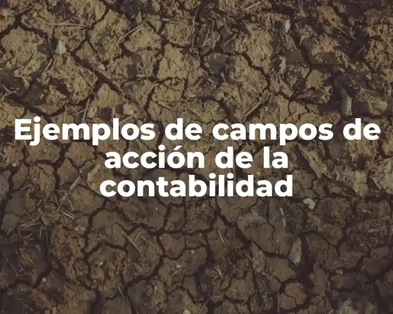 Ejemplos de campos de acción de la contabilidad