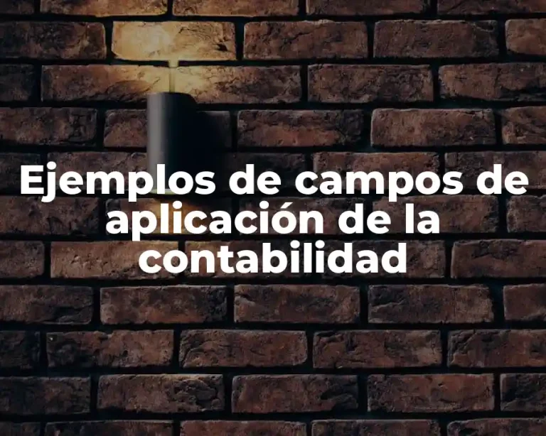 Ejemplos de campos de aplicación de la contabilidad