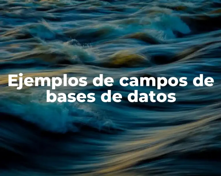 Ejemplos de campos de bases de datos