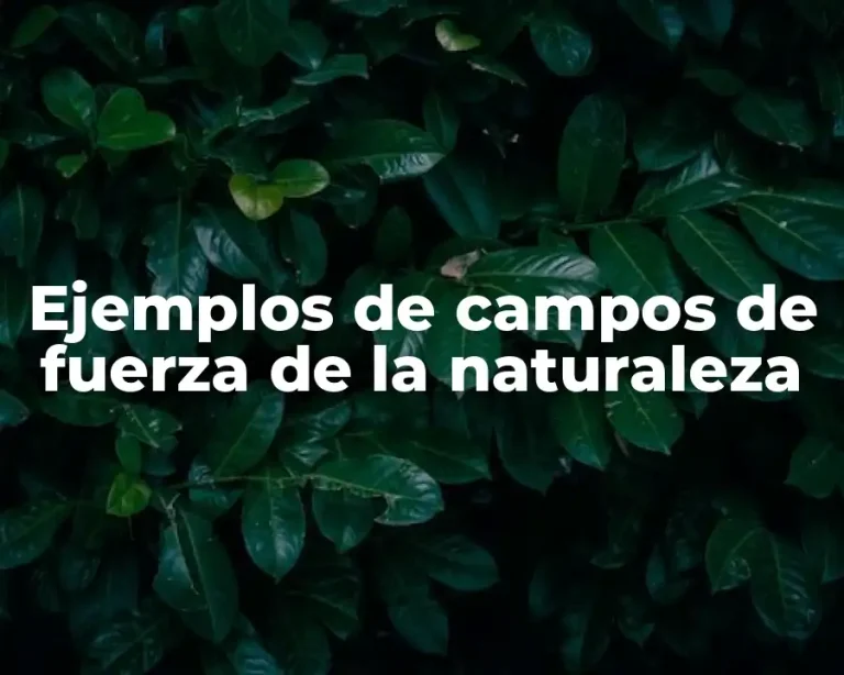 Ejemplos de campos de fuerza de la naturaleza