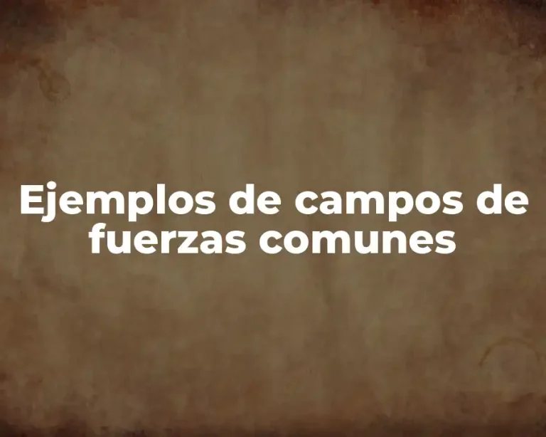 Ejemplos de campos de fuerzas comunes
