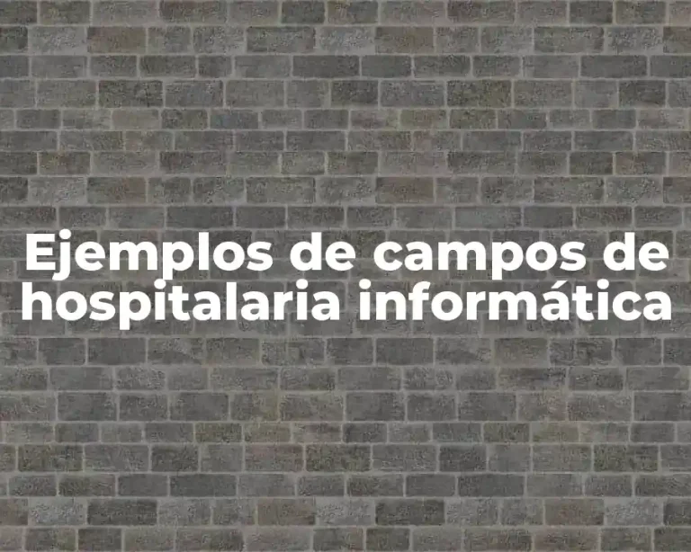 Ejemplos de campos de hospitalaria informática