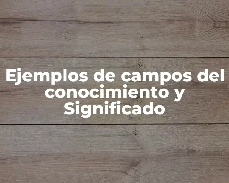 Ejemplos de campos del conocimiento y Significado