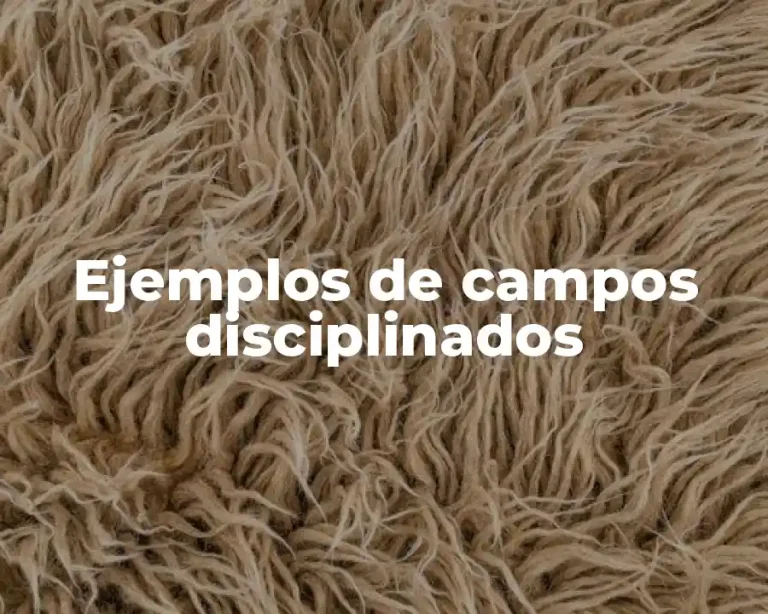 Ejemplos de campos disciplinados
