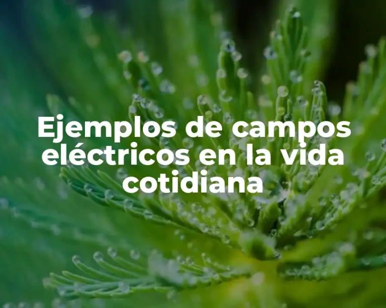 Ejemplos de campos eléctricos en la vida cotidiana