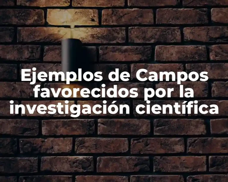 Ejemplos de Campos favorecidos por la investigación científica