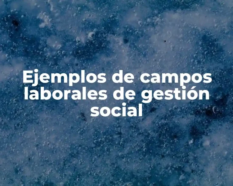 Ejemplos de campos laborales de gestión social