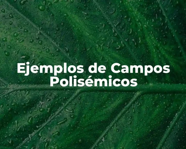 Ejemplos de Campos Polisémicos