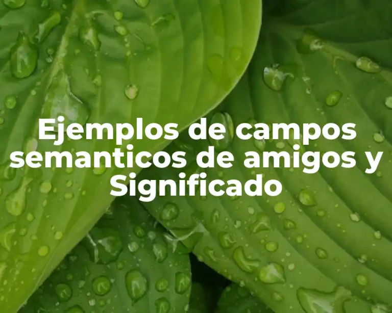 Ejemplos de campos semanticos de amigos y Significado