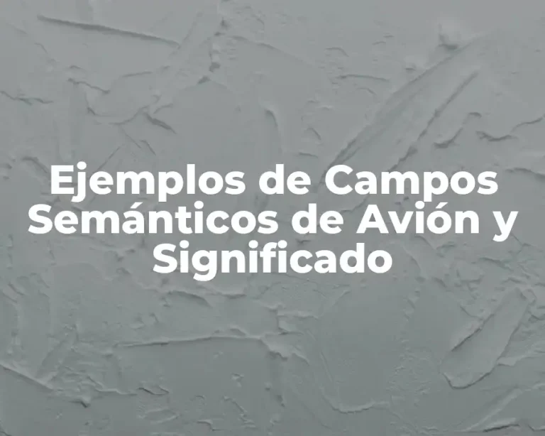 Ejemplos de Campos Semánticos de Avión y Significado