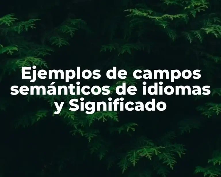 Ejemplos de campos semánticos de idiomas y Significado