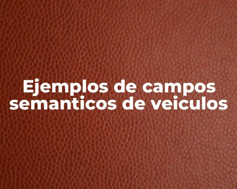 Ejemplos de campos semanticos de veiculos