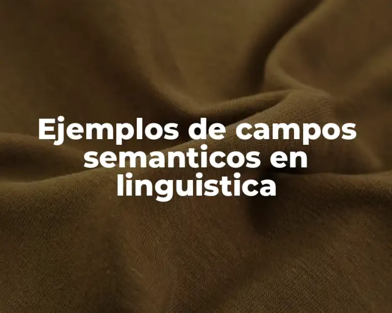Ejemplos de campos semanticos en linguistica