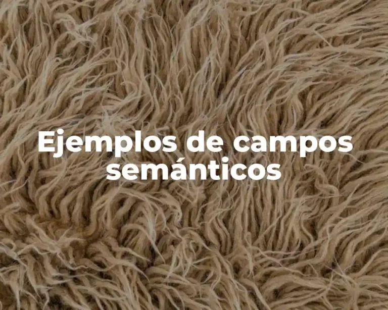 Ejemplos de campos semánticos