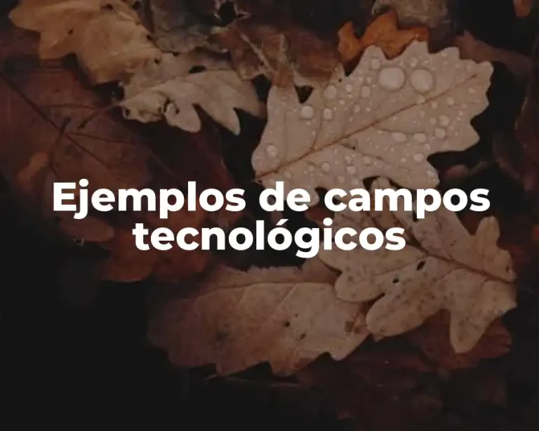 Ejemplos de campos tecnológicos