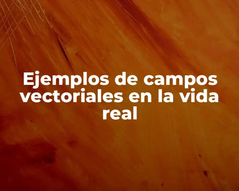 Ejemplos de campos vectoriales en la vida real