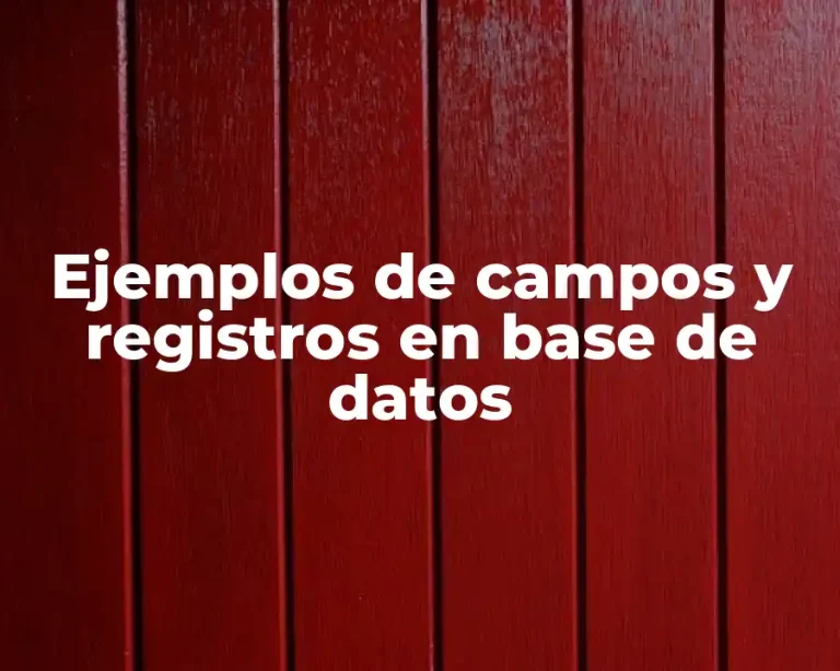Ejemplos de campos y registros en base de datos