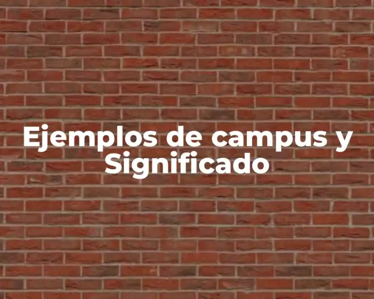 Ejemplos de campus y Significado