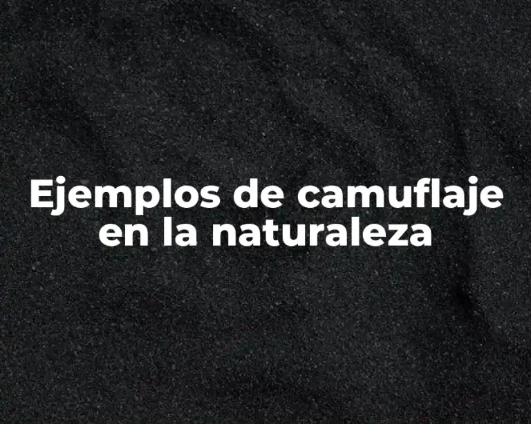 Ejemplos de camuflaje en la naturaleza