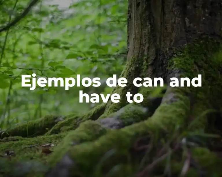 Ejemplos de can and have to
