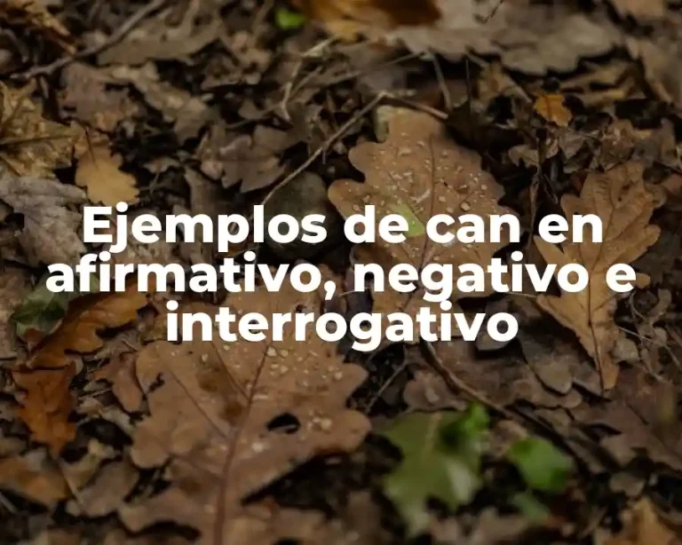 Ejemplos de can en afirmativo, negativo e interrogativo