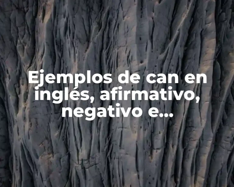 Ejemplos de can en inglés, afirmativo, negativo e interrogativo