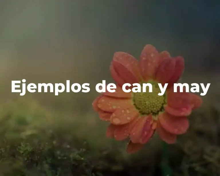 Ejemplos de can y may