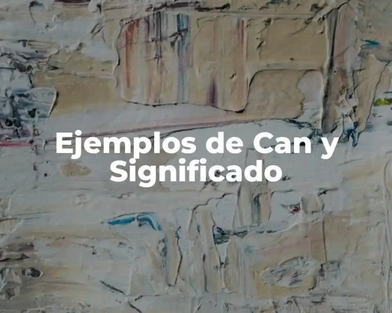Ejemplos de Can y Significado