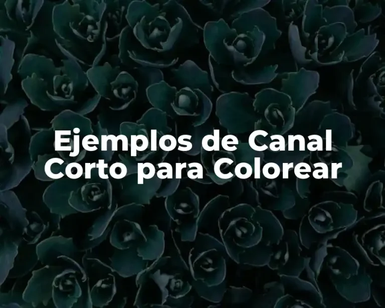 Ejemplos de Canal Corto para Colorear