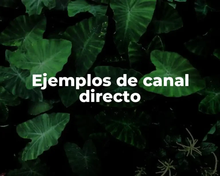 Ejemplos de canal directo