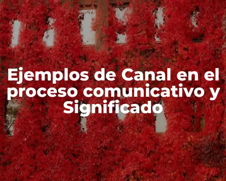 Ejemplos de Canal en el proceso comunicativo y Significado