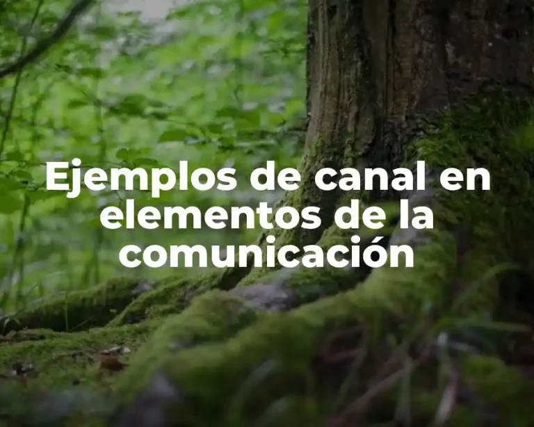 Ejemplos de canal en elementos de la comunicación